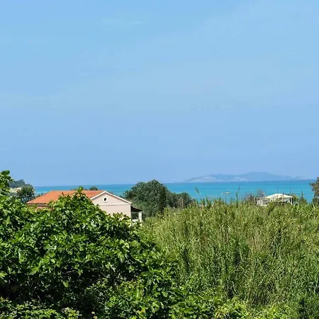 Apartament Oasis *